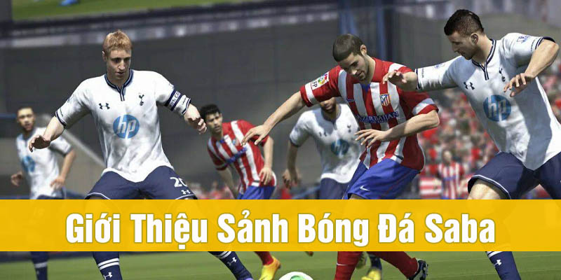 bóng đá saba là gì
