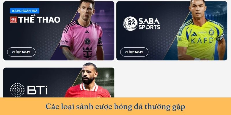 Tiêu chí chọn sảnh cược bóng đá