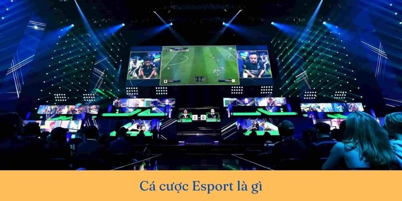 Cá độ esport
