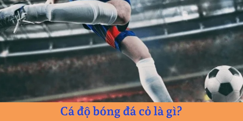 Cách chơi cá độ bóng đá cỏ là cược cho những trận có ít người biết đến