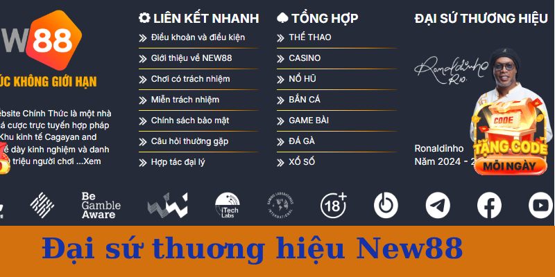 đăng nhập new88